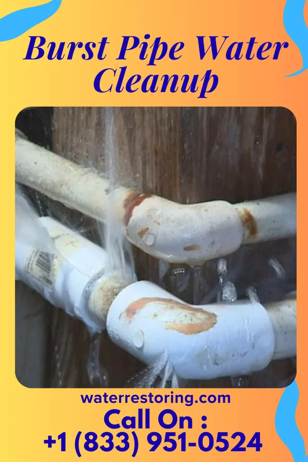 Burst Pipe Water Cleanup in Roaring Spring, PA