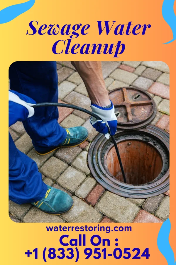 Sewage Water Cleanup in Roaring Spring, PA