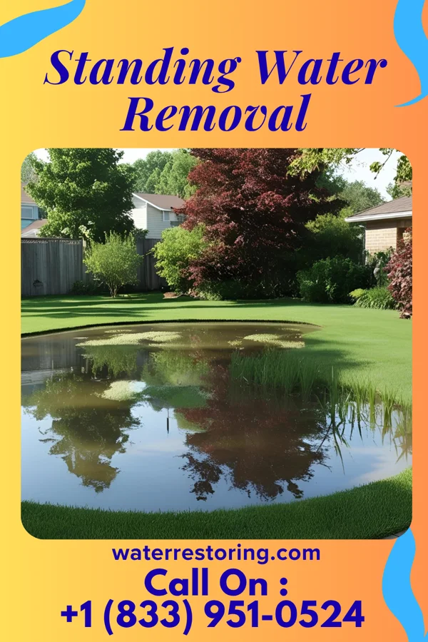 Standing Water Removal in Roaring Spring, PA
